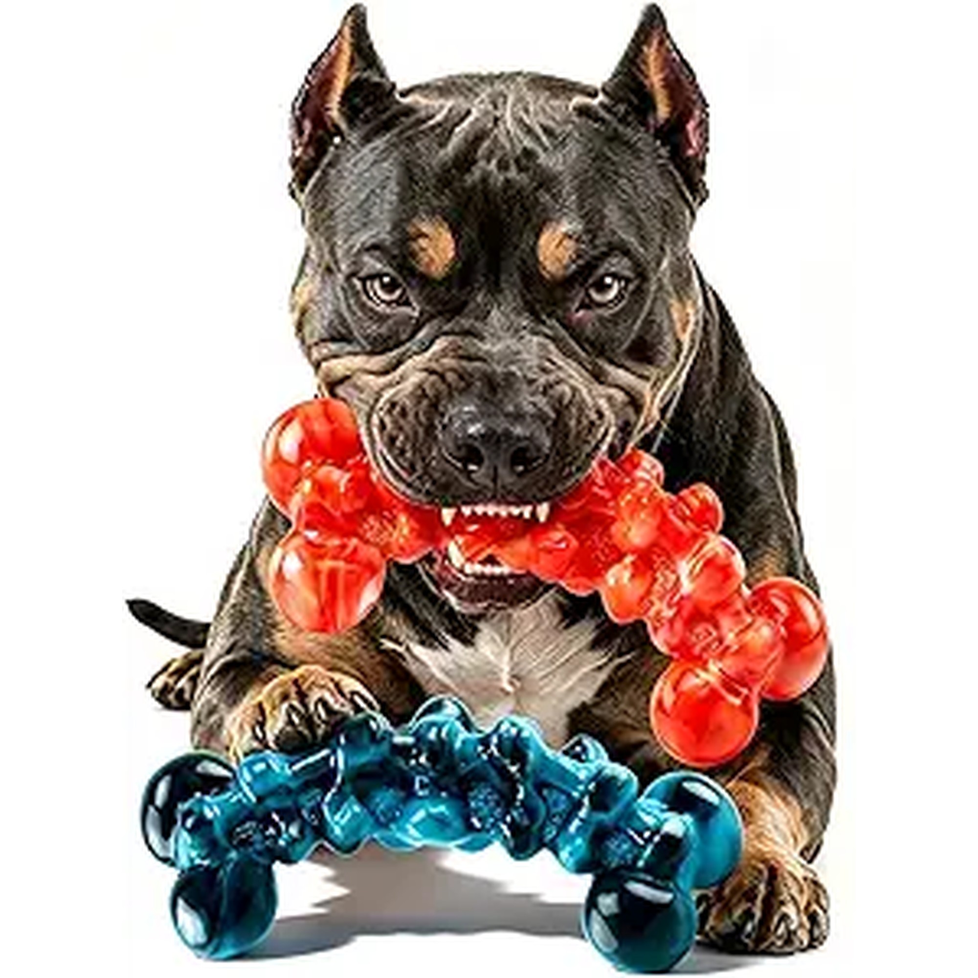 WOWBALA Dog Toys for Aggressive Chewers - Build for Aggressive Chewers for Long Lasting Fun, Non-splintering, Teeth Cleaning Indestructible Dog Chew Toys for Medium & Large Dogs, 2 Pack