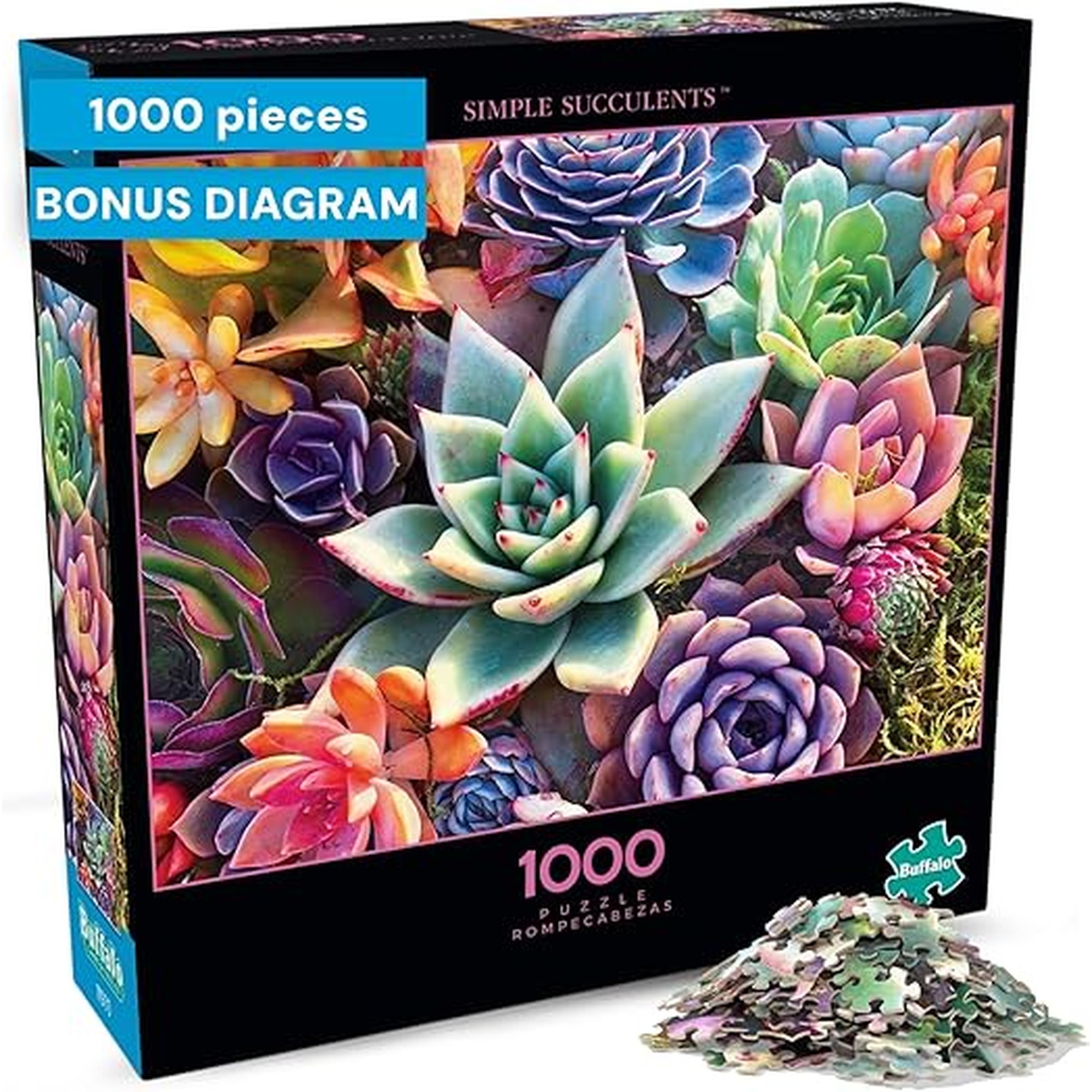 Buffalo Games - Simple Succulent - James Mertke - 1000 Piece Jigsaw Puzzle for Adults - Challenging Puzzle for Game Nights - Vibrant Plant Artwork - Finished Size 26.75 x 19.75 - Made in the USA